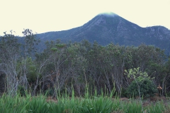 Landschaft im Tsitsikamma National Park