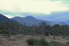 Landschaft im Tsitsikamma National Park