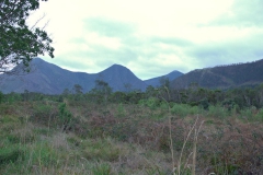 Landschaft im Tsitsikamma National Park