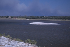 Im De Hoop Nature Reserve.
