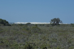 Im De Hoop Nature Reserve.