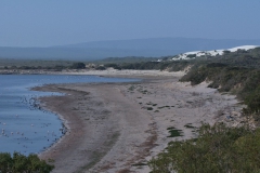 Im De Hoop Nature Reserve.