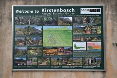 Am Eingang zum Kirstenbosch Botanischer Garten.