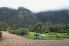 Im Kirstenbosch Botanischer Garten
