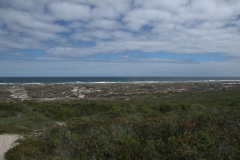 Im West Coast National Park