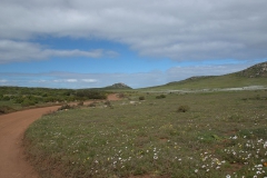 Im West Coast National Park