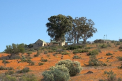 Skilpad Reserve im Namaqua National Park