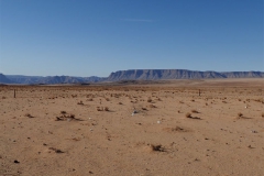 In der Karoo