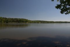 Bošilecký rybník
