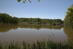 Krupinský