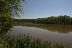 Krupinský