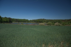 Teiche nördlich Pístina