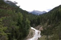 Gleierschklamm