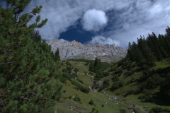 Blick bergauf auf dem Weg zur Rotmoosalm