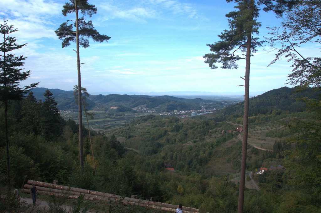 Blick ins Renchtal bis in die Vogesen