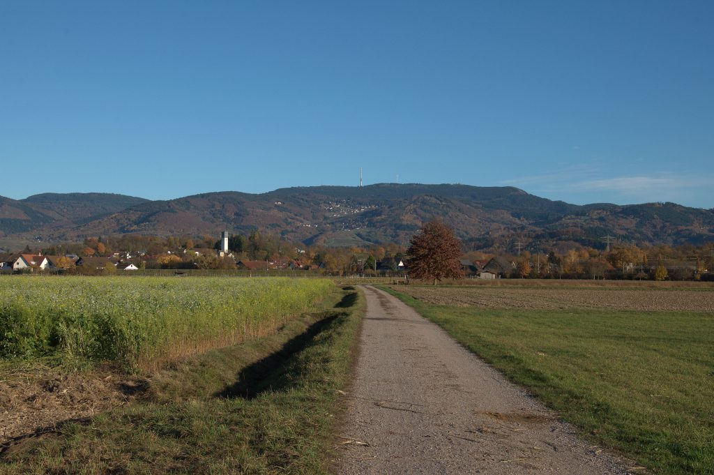 DSC_5614_Herbst -1
