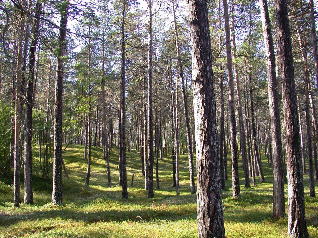 02_r_landschaft01