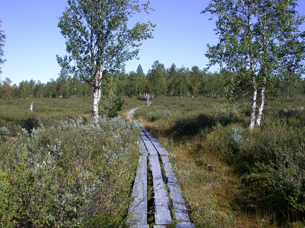 04_r_landschaft02