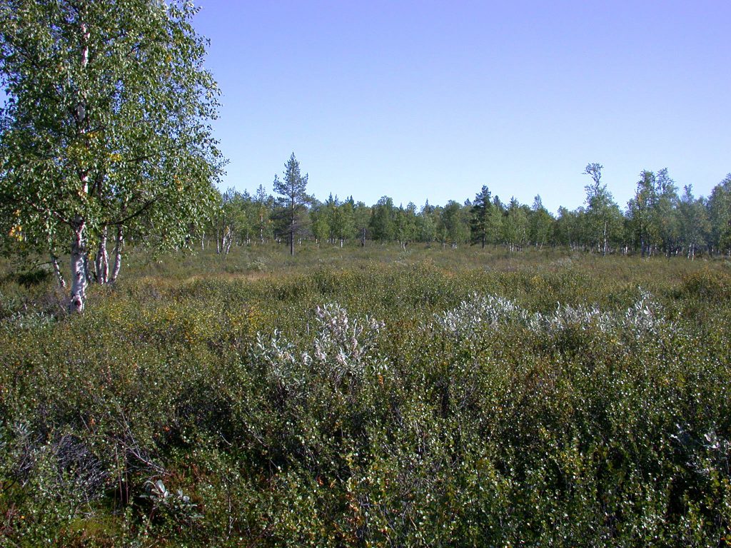 04_r_landschaft03