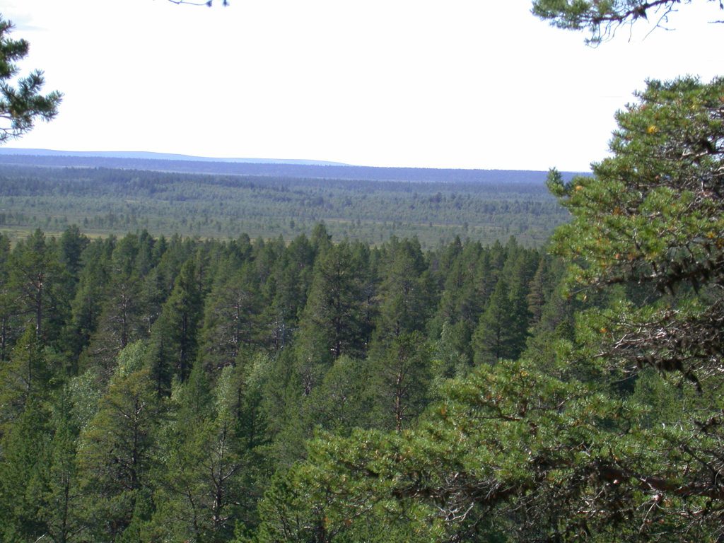04_r_landschaft04