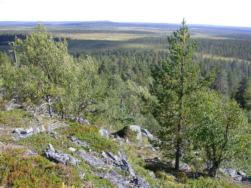 04_r_landschaft07