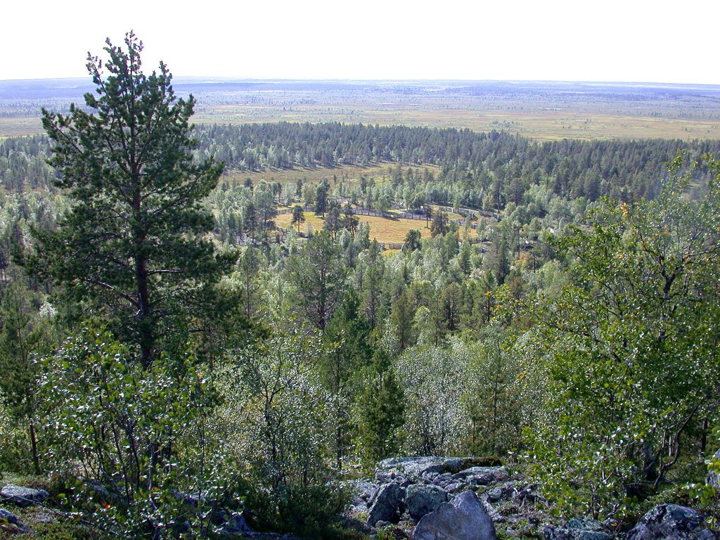 04_r_landschaft09