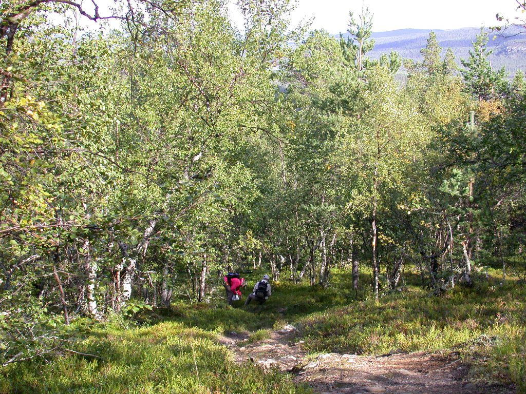 07_r_landschaft01