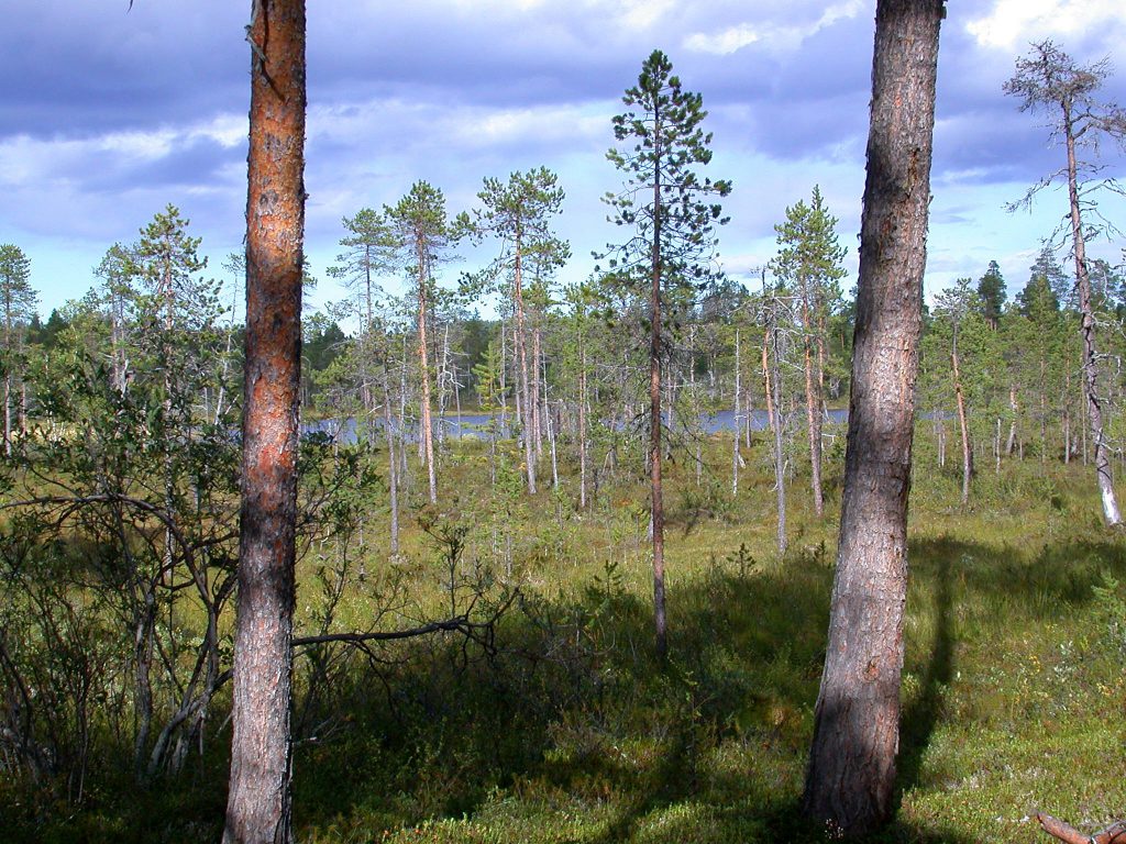 07_r_landschaft02