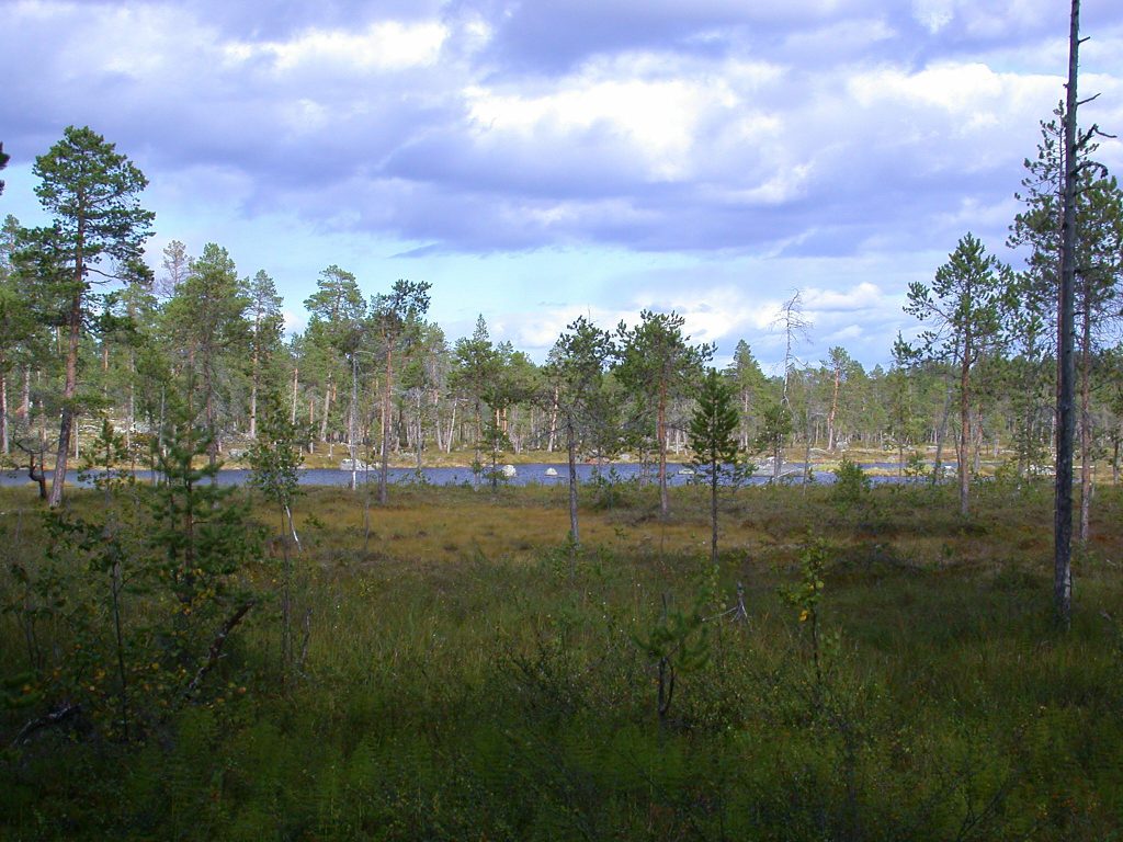 07_r_landschaft03