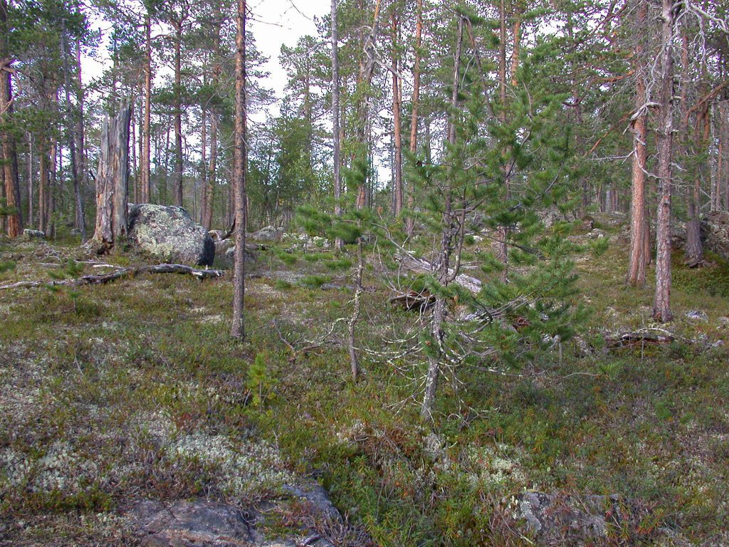 07_r_landschaft05