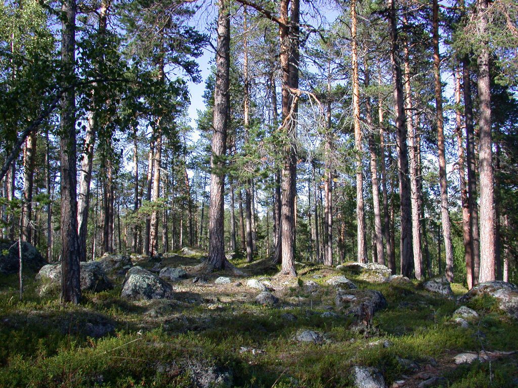 07_r_landschaft06