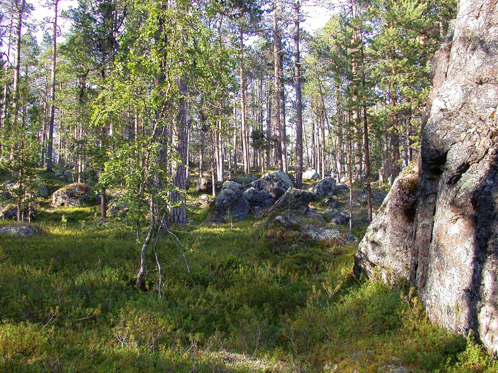 07_r_landschaft07