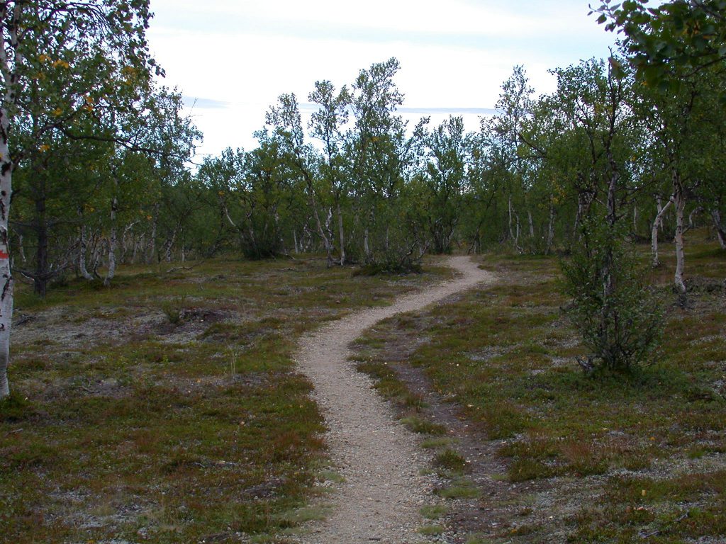 08_r_landschaft04
