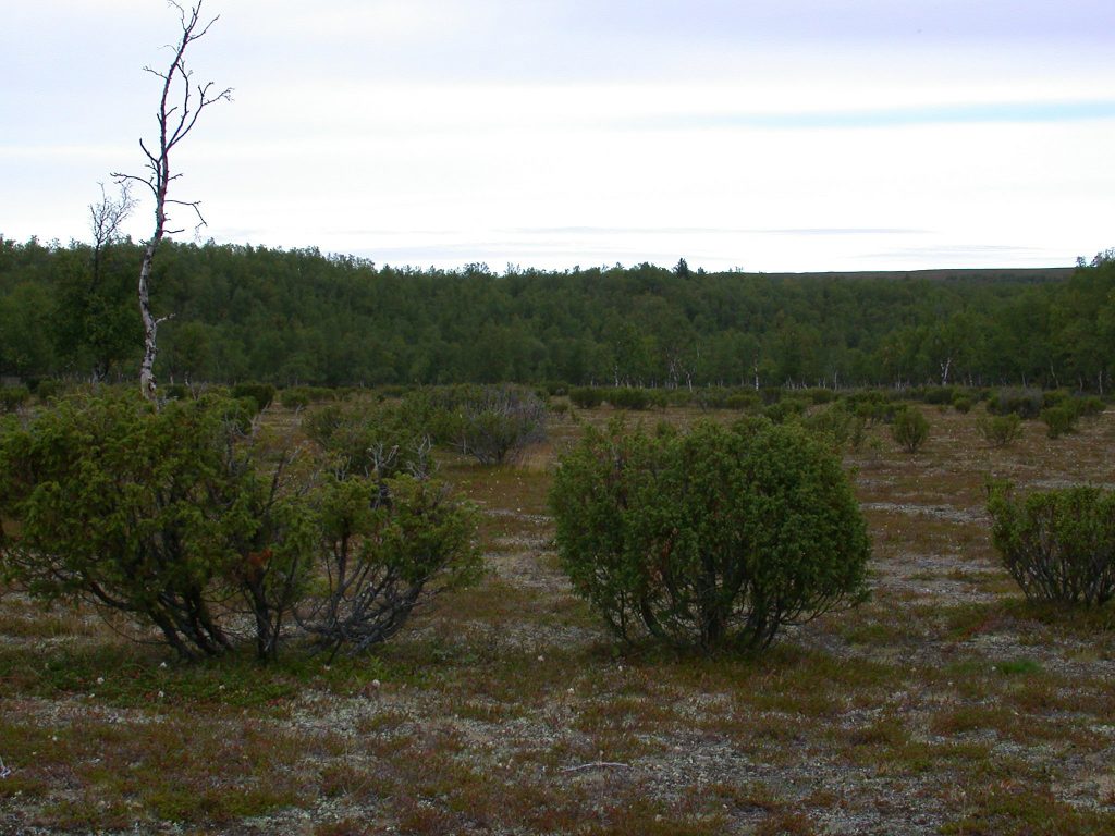 08_r_landschaft05