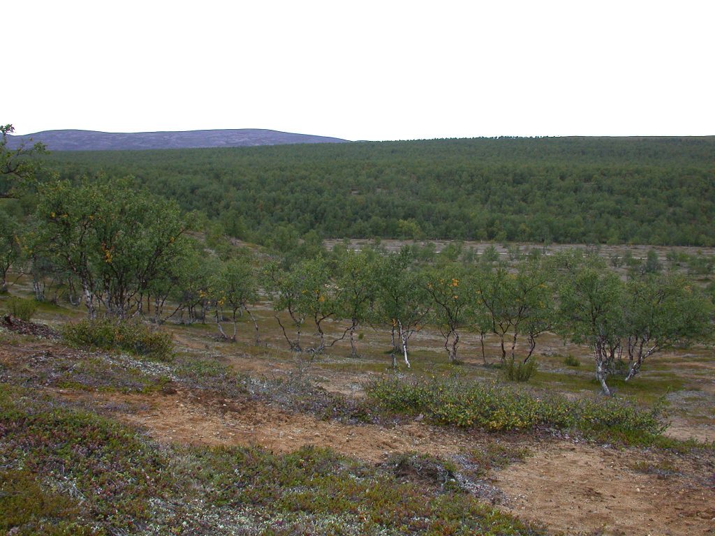 08_r_landschaft07
