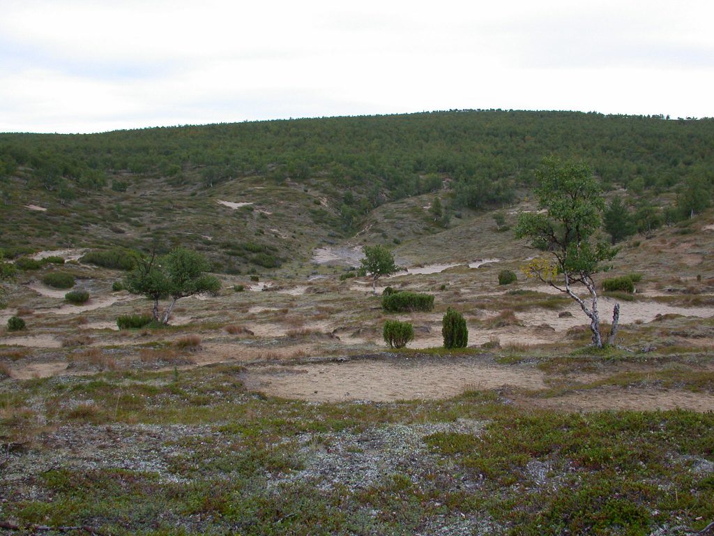 08_r_landschaft08