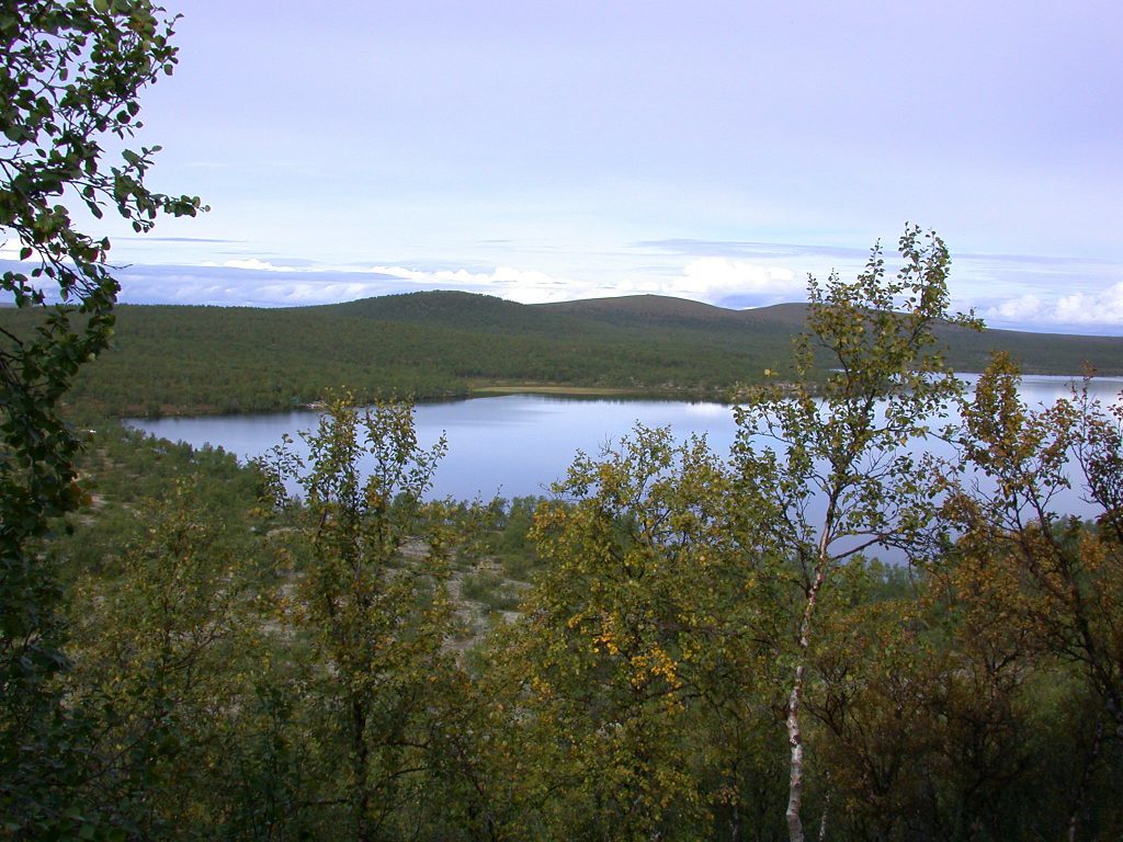 08_r_landschaft09