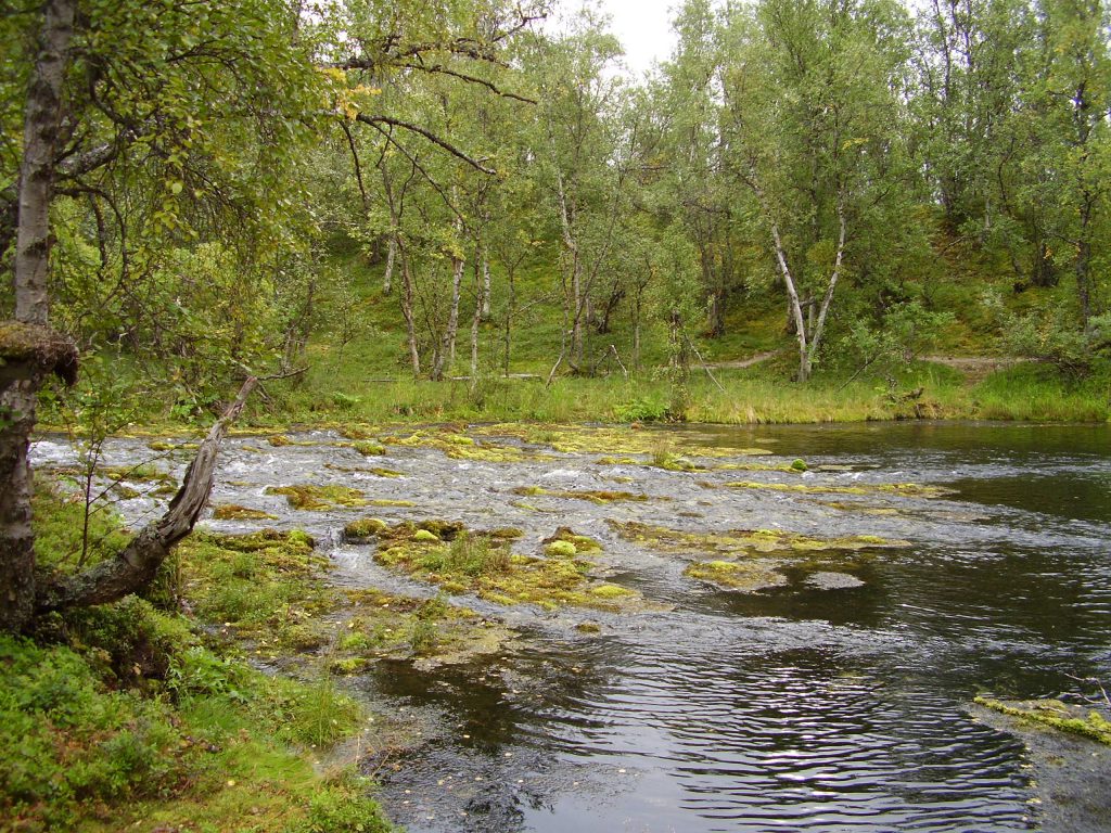 Im Kevo Naturreservat by Seija