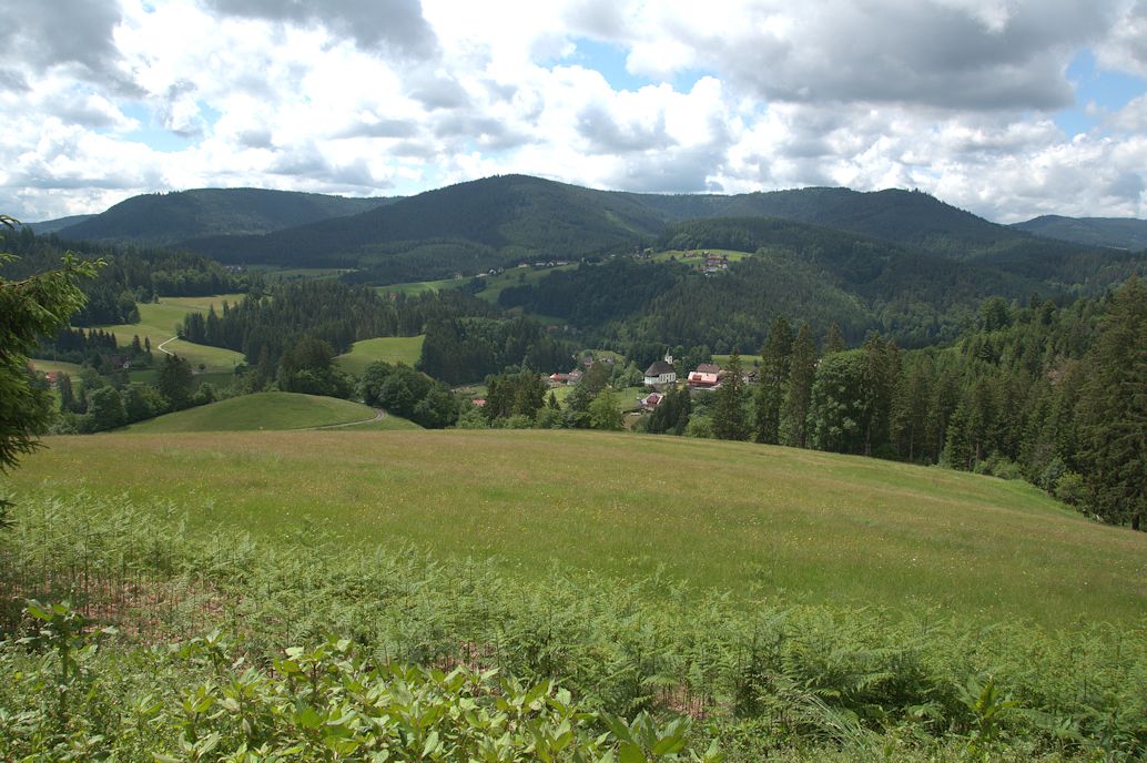 Wanderung um BaiersbronnSchwarzenberg (BaWü., Lkr. RA) Reisen und Natur